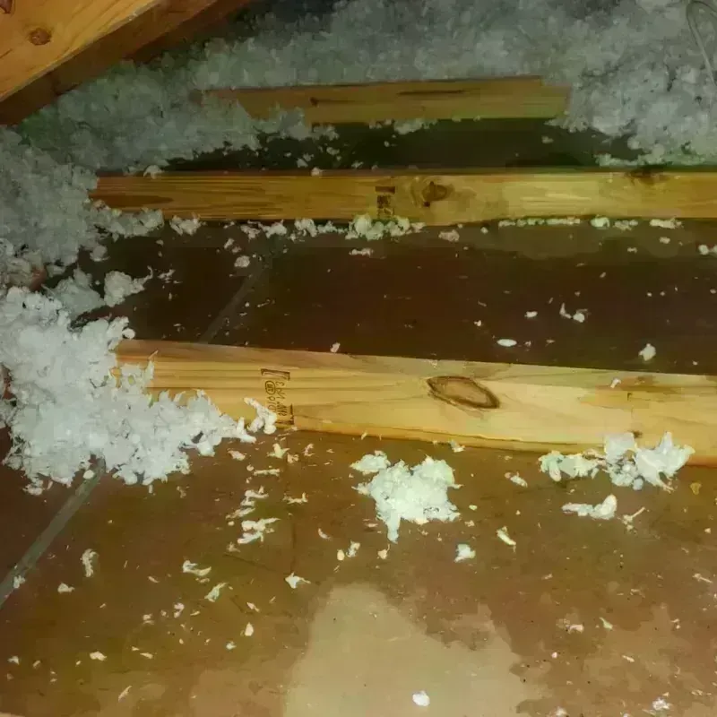 Attic Water Damage in Screven County, GA