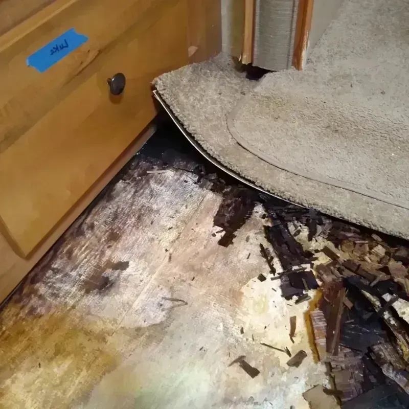 Best Wood Floor Water Damage Service in Screven County, GA